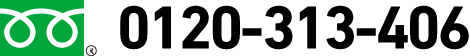 0120-313-406